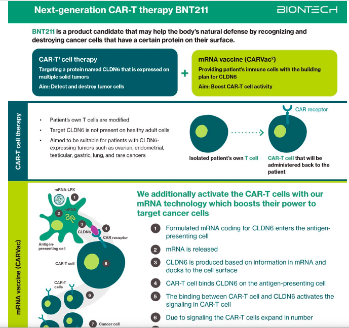 Kansere çare buldular! İlk 2 dozda büyük başarı 7 yılda 10 bin kişiye umut olacak - Resim: 4
