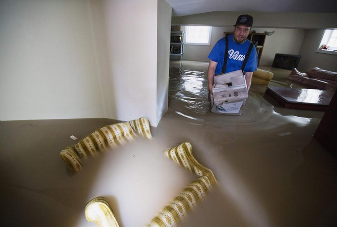 Kanada sele teslim! - Resim: 4