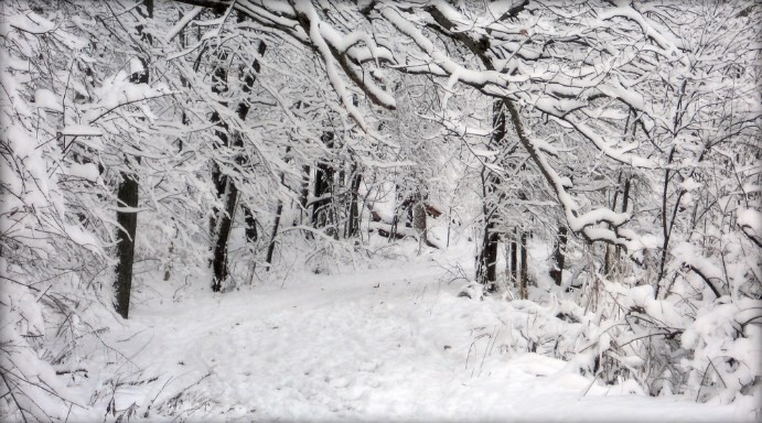 Bu  illerde okullara kar tatili var! 15 aralık kar tatili - Resim: 2