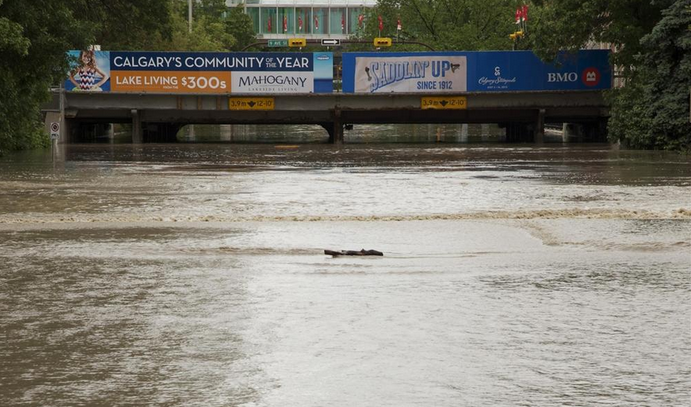 Kanada sele teslim! - Resim: 3