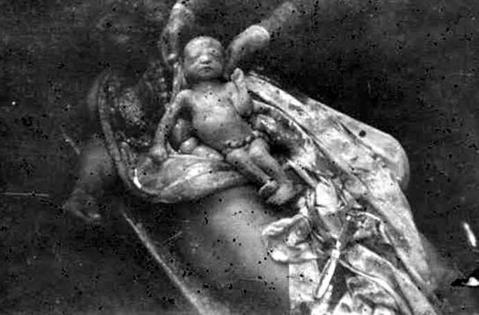 Srebrenitsa'da Müslüman katliamı...  - Resim: 3