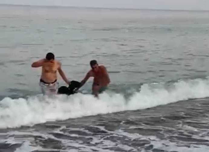 Kurbanlık keçi ellerinden kurtulup denize atladı, kaçmak isterken ölümden döndü! - Resim: 3