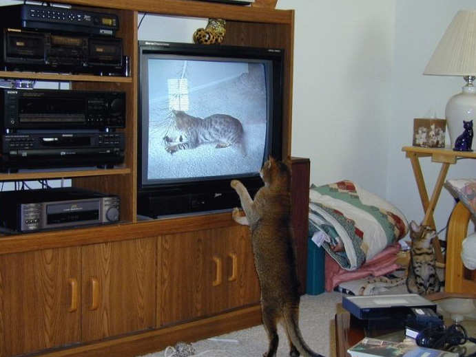 Günün rekor kıran bomba kareleri - Resim: 2