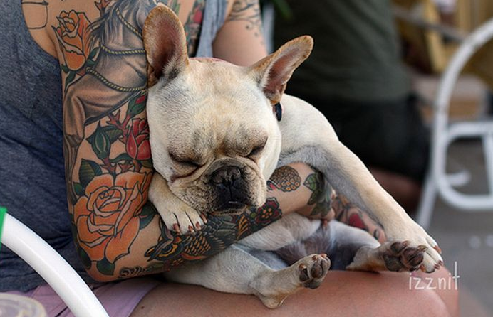 Günün en ilginç fotoğraf kareleri! - Resim: 4