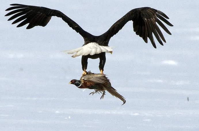 Günün en çok tıklanan fotoğrafları - Resim: 2