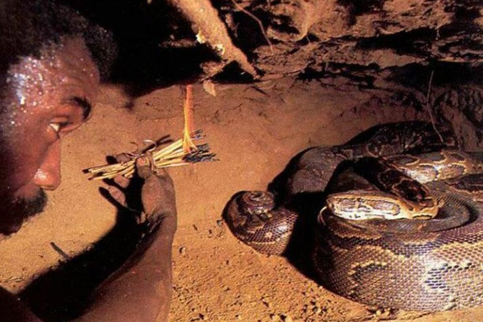 Dev pitonla burun buruna - Resim: 4