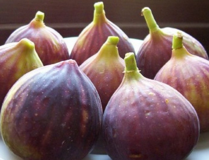 Canan Hoca üstüne basarak uyardı! Fazlası öldürüyor - Resim: 2