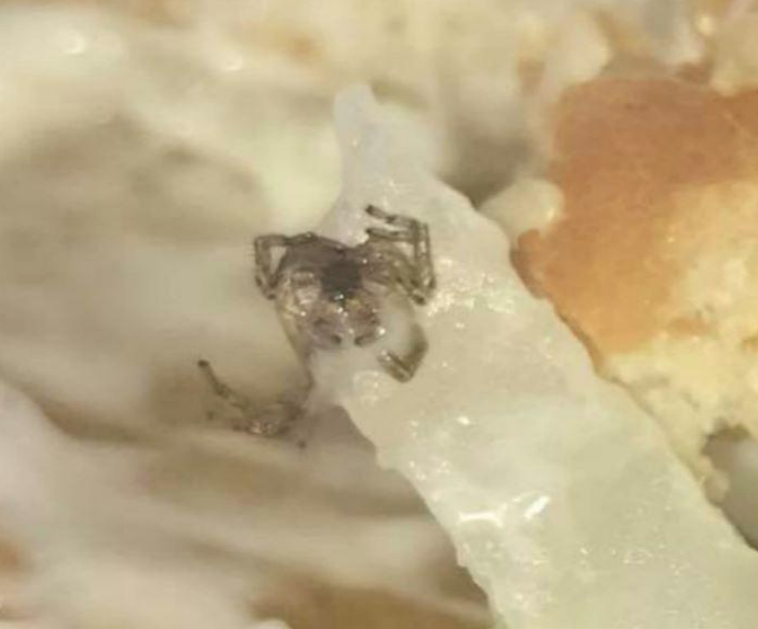 Dev fast food zincirinde skandal Türkiye'de de şubeleri var - Resim: 4