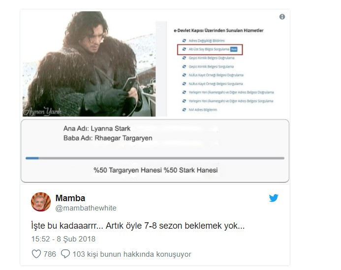 e-devletin soy ağacı sistemi sanal alemin diline düştü - Resim: 2