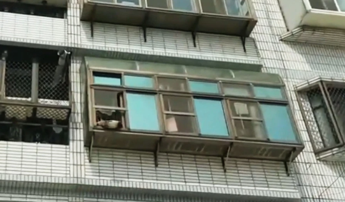 Aldatılan kadın kocasının cinsel organını kesti! Tuvalete atıp sifonu çekti - Resim: 4