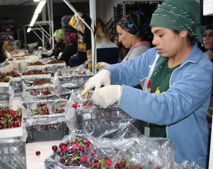 Türkiye tarihinde ilk kez vize alındı! Çin'e rekor sayıda gönderildi - Resim: 2