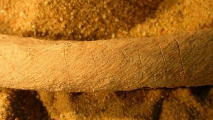 İnsanları yaktılar öldükten sonra kemiklerini parçaladılar! - Resim: 1