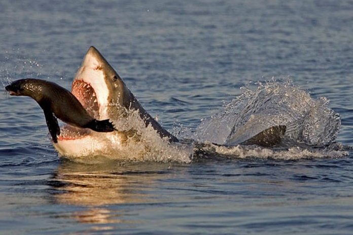 Günün en güzel fotoğrafları... - Resim: 4