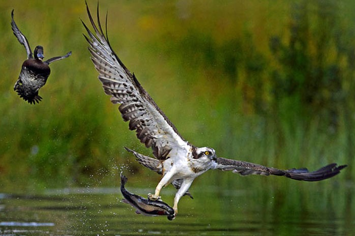 Günün en güzel fotoğrafları... - Resim: 1