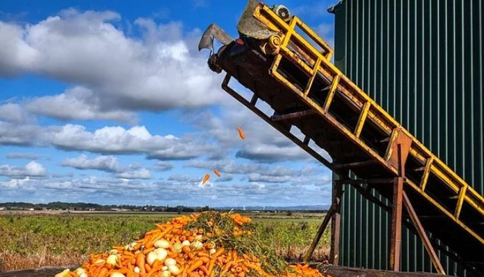 Türkiye'de israfın önüne geçilemiyor - Resim: 1