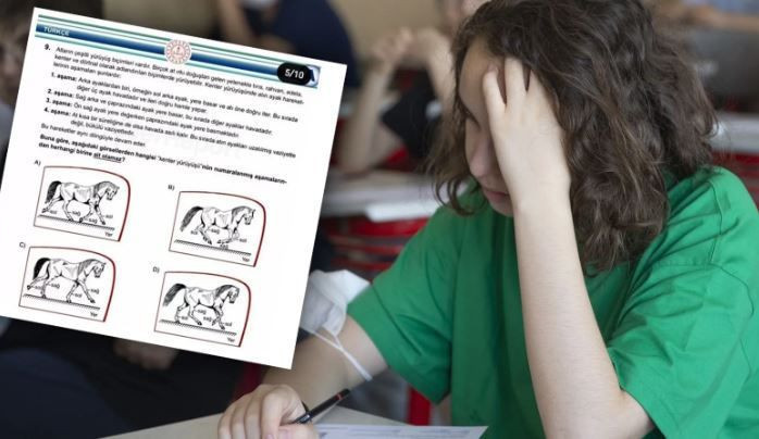 LGS’de tartışma yaratan at sorusu! Skandal mı? Güzel soru mu? - Resim: 2