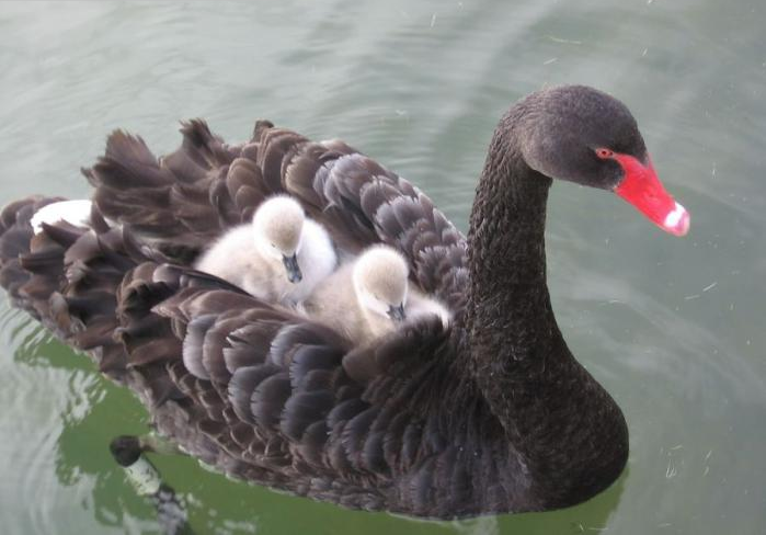 Dünya'dan ilginç kareler... - Resim: 1