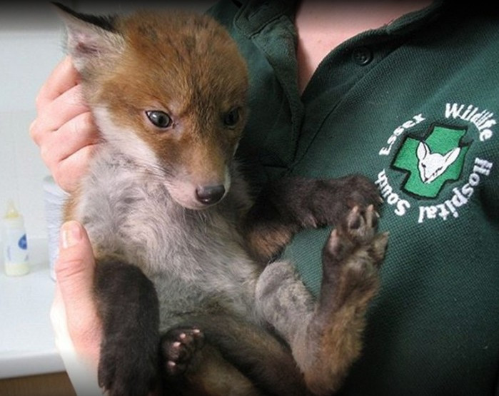 Onu bu halde buldular kimse ne olduğunu anlamadı - Resim: 3
