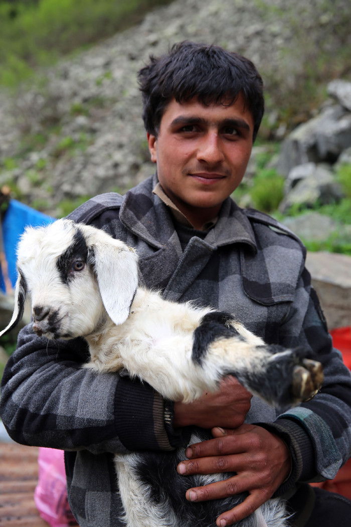 Rize'ye ithal çoban! Aylık kaç lira alıyor? - Resim: 4