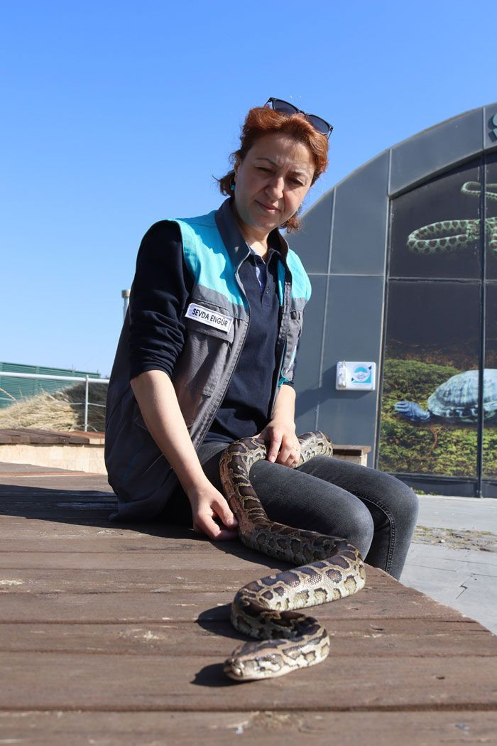 Kayseri'de bu kadın yılanları boynuna alarak geziyor - Resim: 3