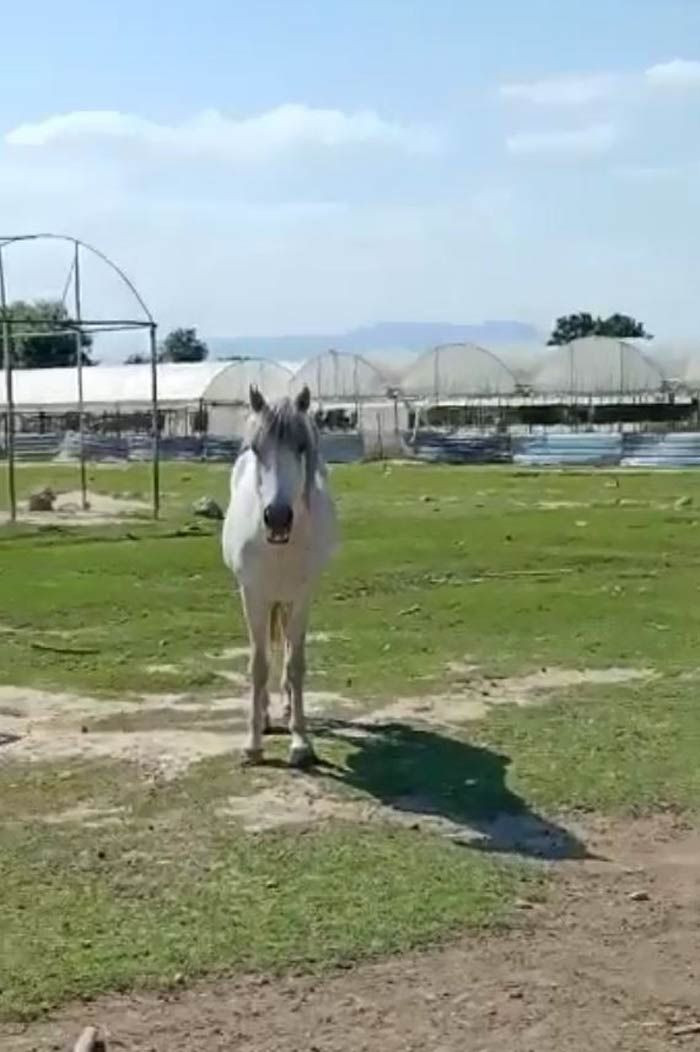 Fatma Öncel 4 bilezikle işe girip servet sahibi olmuştu şimdilerde çok üzgün - Resim: 2