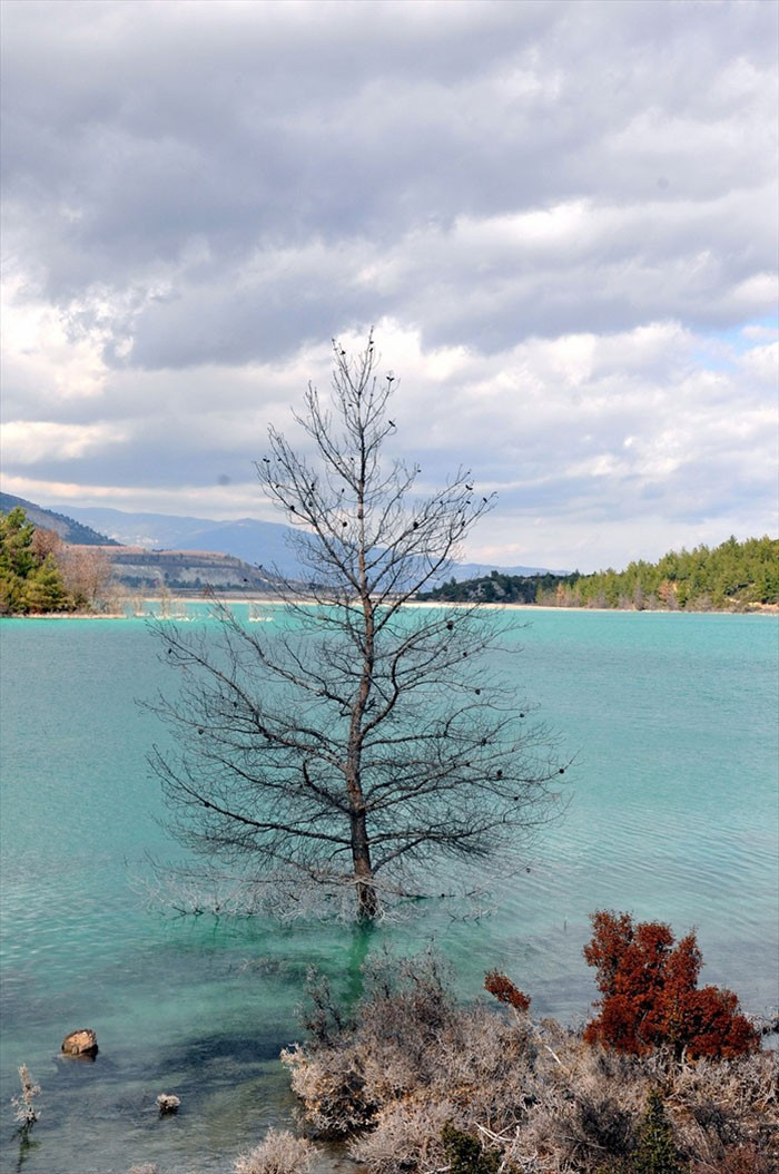 Gören hayran kalıyor ama gerçek dehşete düşürüyor - Resim: 2