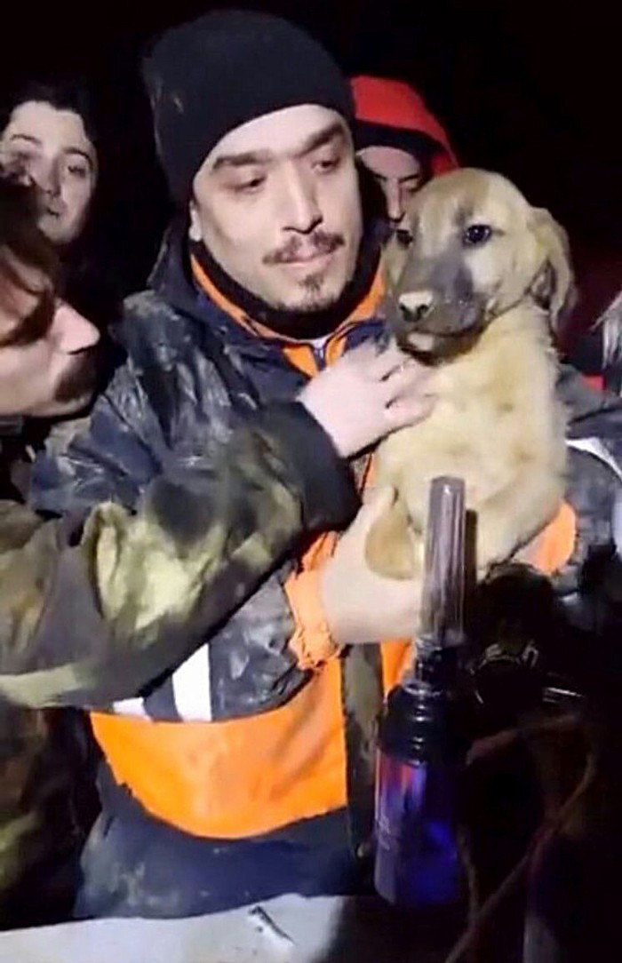 Yavru köpek 'kuyu' iğne deliğinden nasıl çıkarıldı? İşte ayrıntılar - Resim: 3