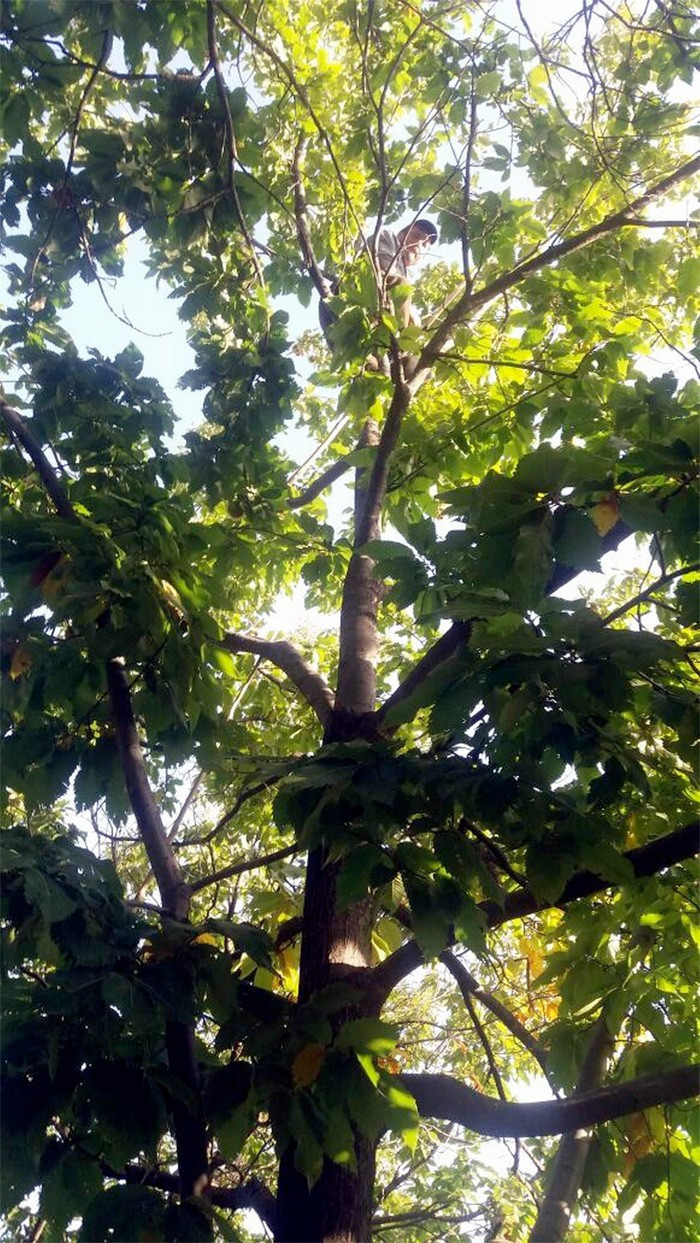 Aydın'da o işe mühendis maaşı veriliyor ama - Resim: 1