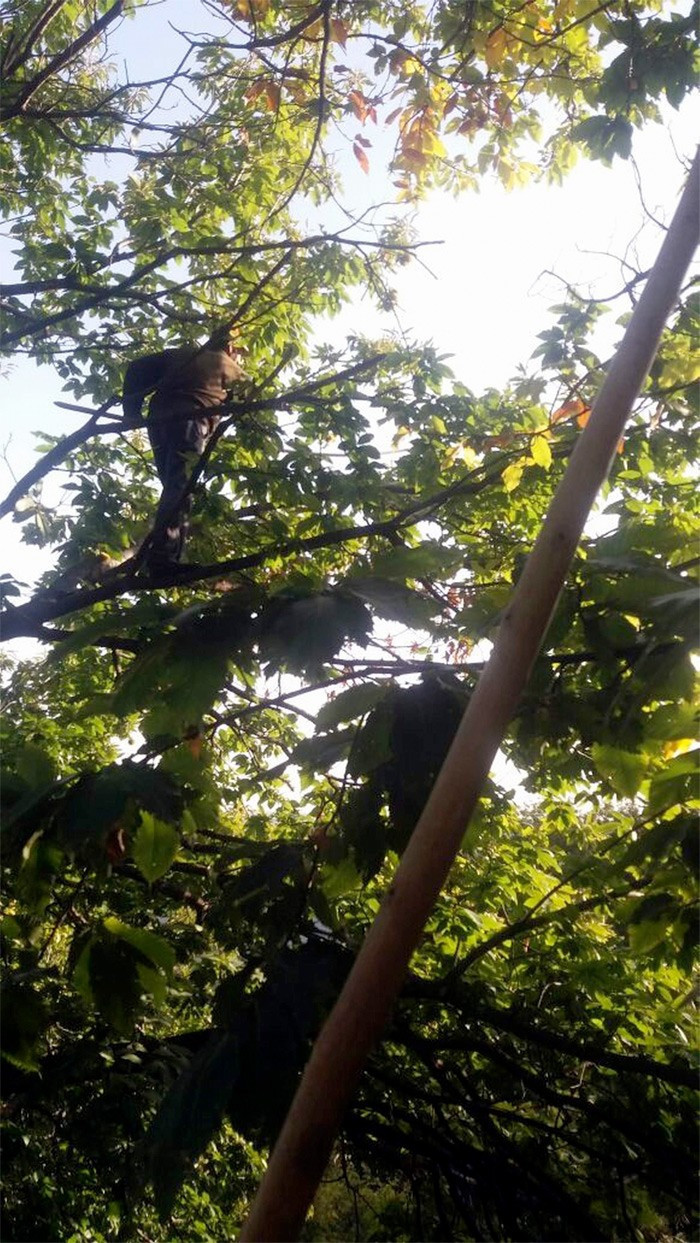 Aydın'da o işe mühendis maaşı veriliyor ama - Resim: 2