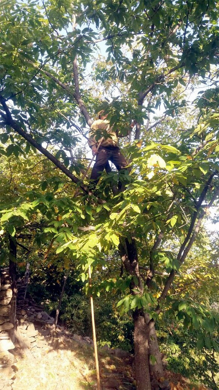 Aydın'da o işe mühendis maaşı veriliyor ama - Resim: 3