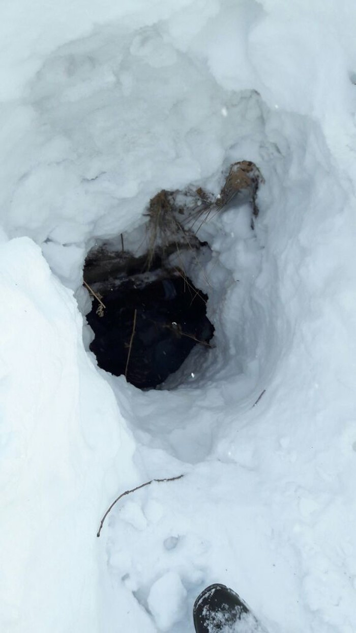 Bingöl'de PKK operasyonu imha edildiler - Resim: 4