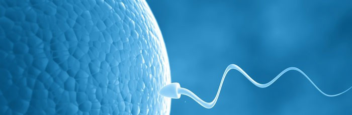 Tüp bebek merkezinde skandal hatalı dölleme yaptılar! - Resim: 1