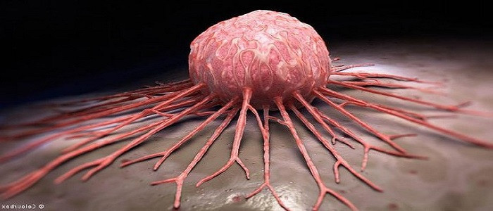 'Kanserin artış hızı yavaşladı' - Resim: 4