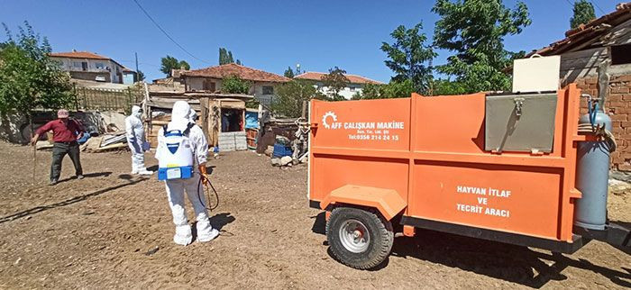 Tokat'ta korona bitmeden kuş gribi! Yüzlerce hayvan itlaf edildi - Resim: 3