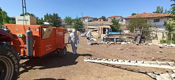 Tokat'ta korona bitmeden kuş gribi! Yüzlerce hayvan itlaf edildi - Resim: 4