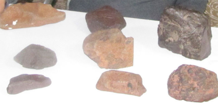 Aydın'da sahilde bulduğu şeye bak ne olduğuna inanamayacaksınız - Resim: 4