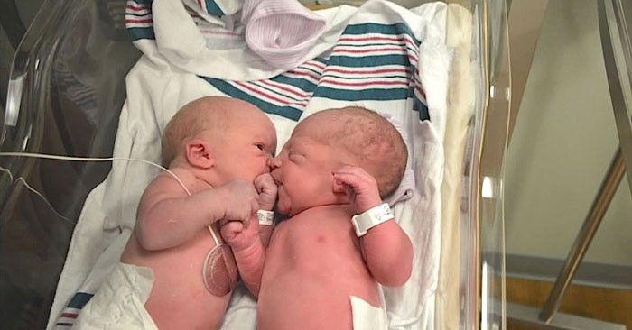 Bebeğin yanına yaklaştılar ama ağızları açık kaldı bakın neden  - Resim: 2