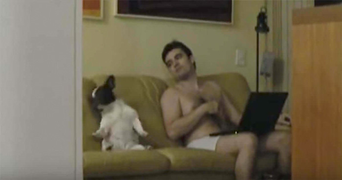 Köpek ve sahibinin gizli kamera görüntüleri olay farkında varmadılar bile - Resim: 3