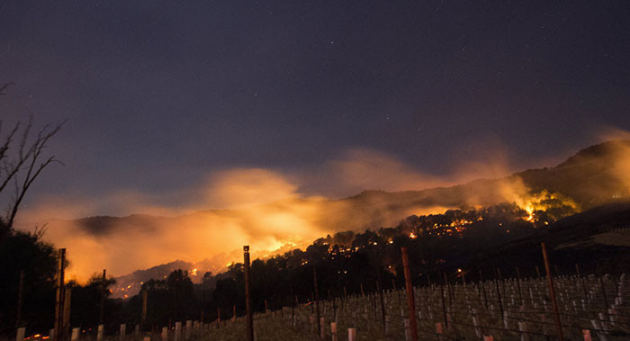 ABD'de yangın faciası: 31 ölü yüzlerce kayıp!... - Resim: 2