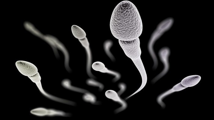 Cep telefonu ile sperm testi! - Resim: 4