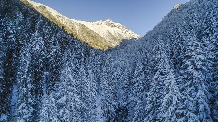 Kartpostallık kar manzaraları! Bakın nerede çekildi - Resim: 4