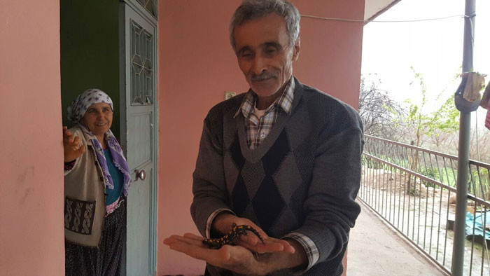 Osmaniye'de ortaya çıktı! Nesli tükenmek üzere - Resim: 3