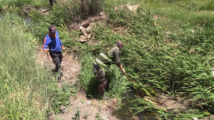 Leyla'yı bulmak için kargaları izliyorlar! Batman'dan gittiler... - Resim: 1