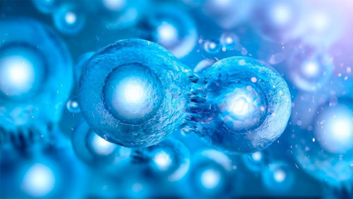 Kök hücre nedir kök hücre bağışı kaç yaşında nasıl yapılır yurt dışına da gidiyor - Resim: 3