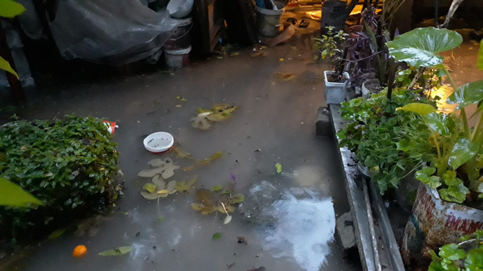 Adana'da sel baskını evleri su bastı vatandaşlara uyarı yapılıyor - Resim: 4