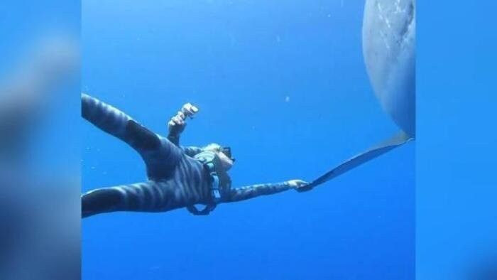 Böyle çılgınlık görülmedi! Ölüm makinesi ile birlikte yüzdüler! - Resim: 4