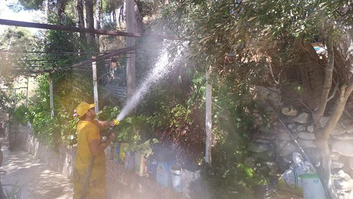 Hatay'da orman yangını çıktı! Yangın bazı evlere sıçradı mahalleler boşaltılıyor - Resim: 2