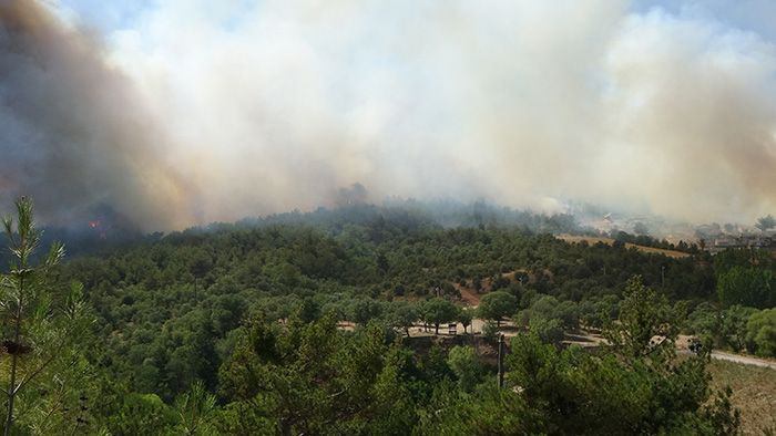 Uşak'ta orman yangını çıktı! Hızla yayılıp evlere sıçradı - Resim: 1