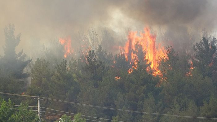 Uşak'ta orman yangını çıktı! Hızla yayılıp evlere sıçradı - Resim: 3