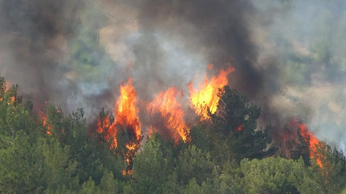 Uşak'ta orman yangını çıktı! Hızla yayılıp evlere sıçradı - Resim: 2